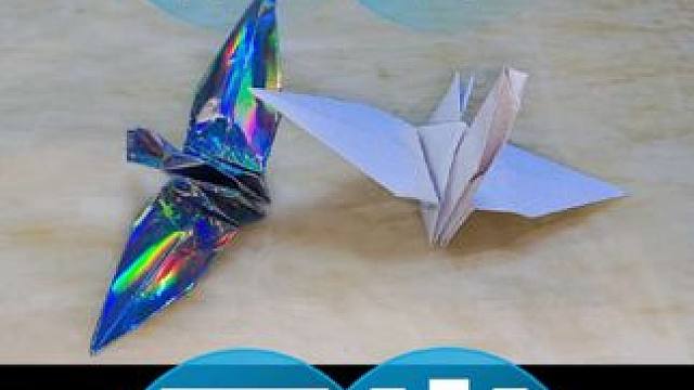 当巴印战火遇上中国纸艺，这只千纸鹤能飞多远？#印巴冲突 #手工DIY #特种纸 #纸艺 #纸品包装