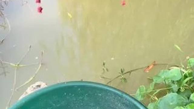 还是这样钓鱼快#钓鱼 #钓鱼的乐趣只有钓鱼人懂 #钓鱼人就是这么疯狂 #钓鱼人