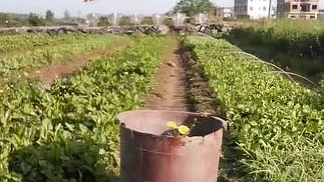 我发布了一个新视频，快来围观吧！