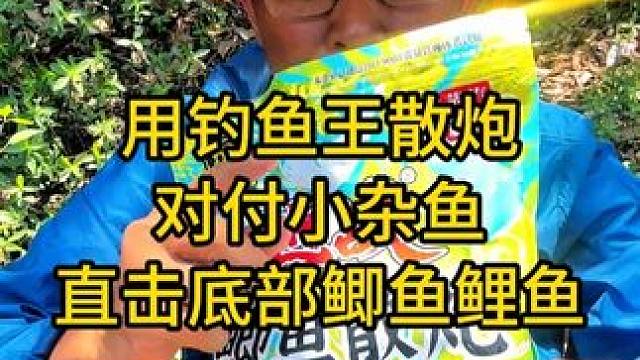 用钓鱼王散炮，对付小杂鱼直击底部鲫鱼鲤鱼，全网没有的新钓法 用钓鱼王散炮，对付小杂鱼直击底部鲫鱼鲤鱼