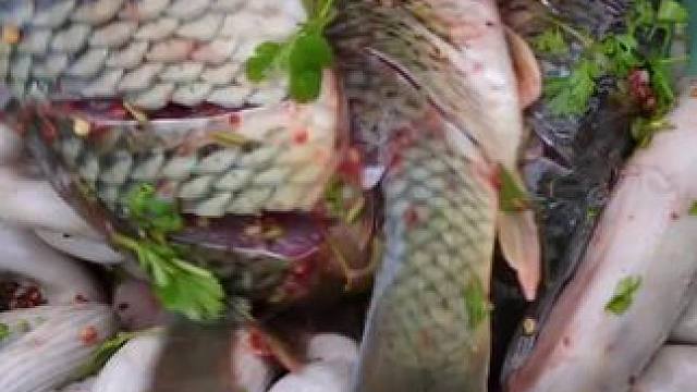 越南鱼生 #东南亚美食 #内容启发搜索 #我的乡村生活