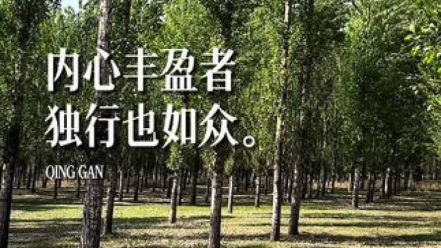 朋友再多也没有和媳妇孩子安逸幸福快乐#户外露营
