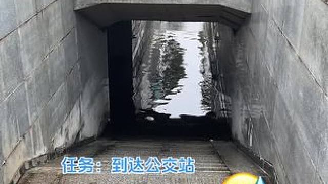 忍不住化身一条固执的鱼
#服了