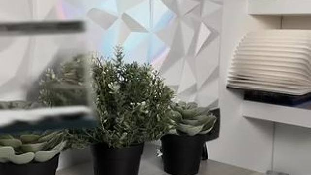 永不翻船的万里阳光号~ #海贼王 #摆件