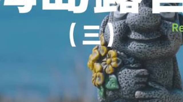 海岛露营（三）阳光和大海是绝配，舍不得离开。#露营 #助眠 #解压 #汽车露营 #萌宠