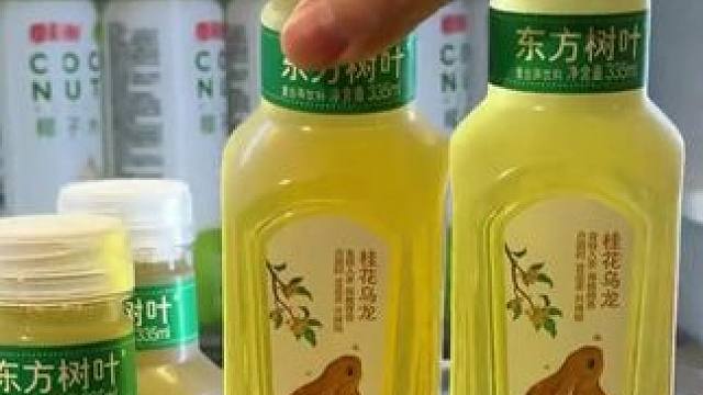 最近同事在分享金桂乌龙我也囤了，夏天不想喝白水这个真的很合适  #好喝不贵 #桂花乌龙 #东方树叶 