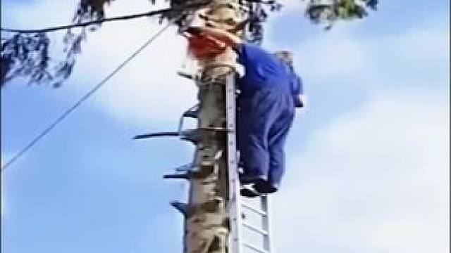 我发布了一个新视频，快来围观吧！