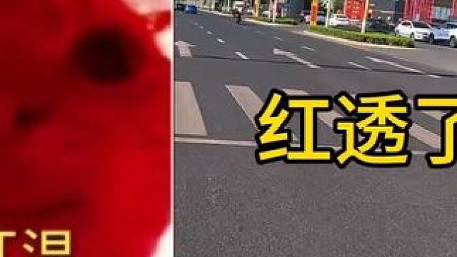 这不是一样的吗 #赛600rs #赛800 #机车