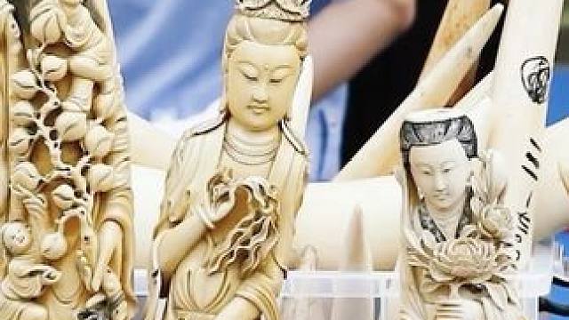 找对象，陌陌靠谱，快来评论区看看吧！ #找女朋友 #纪录片