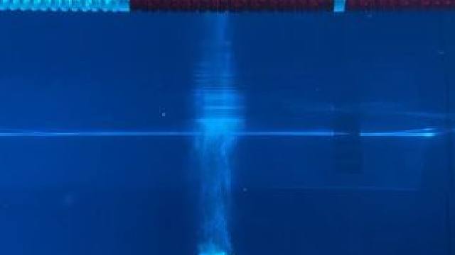 感受一下游泳跳水海豚腿出发训练‍♀️动作真的太丝滑了吧！ #海豚腿 #游泳训练 #游泳跳水出发 #跳