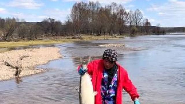 #高手捕鱼 #大表哥抓鱼