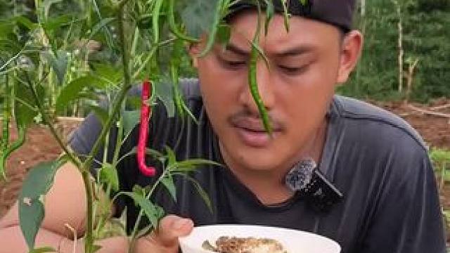 东南亚野菜哥 #野菜哥#东南亚野菜哥#越南美食