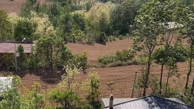 村里的风景，虽平淡，但耐看。也许生活并不便利，却最温暖的治愈。长大后才明白，平凡无奇的小村里藏着最惬