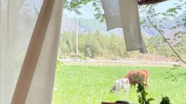 给我爸买的透气网面老北京布鞋，上脚巨舒服还百搭，给我老公也整了一双开车遛娃穿，脚宽脚肥都能穿，价格还