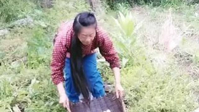 我发布了一个新视频，快来围观吧！