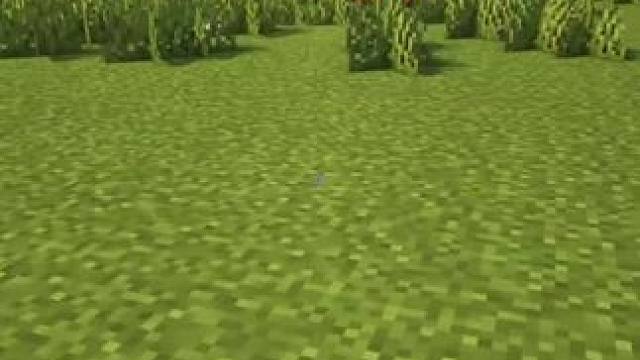 #我的世界 #Minecraft