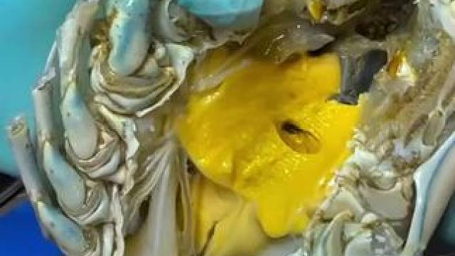 炭烤满黄大头罗氏虾 #泰国吃播视频 #泰国大叔 #泰国美食 #泰国生活 #内容启发搜索