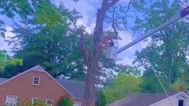 我发布了一个新视频，快来围观吧！