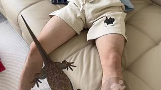 我发布了一个新视频，快来围观吧！