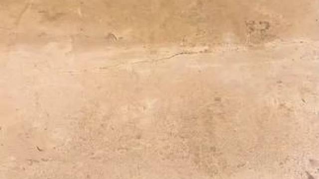 哇趣，最后一个还能自动发牌 #玩个很新的东西