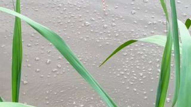 打那一口是对的！#上热门 #钓鱼人就是这么疯狂 #钓鱼人