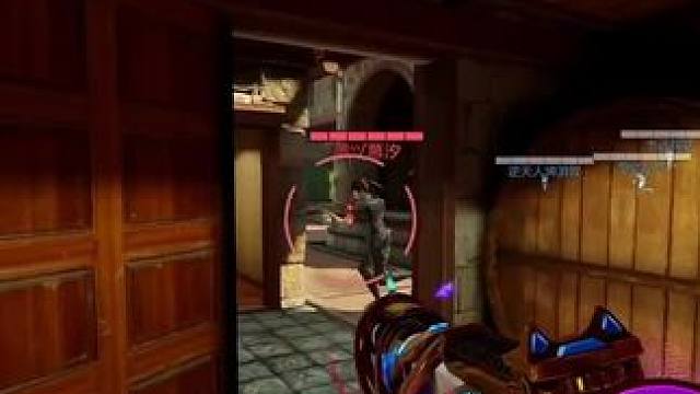 乌龟团队启动!#codm