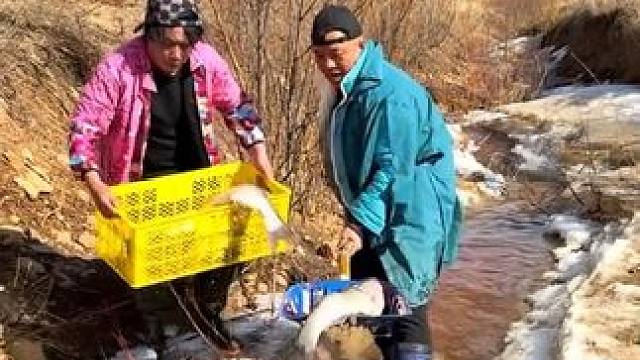 #浑水摸鱼 #大表哥抓鱼