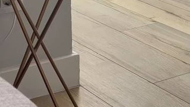 到底是监控宠物还是监控我。。。 #宠物监控 #玩个很新的东西