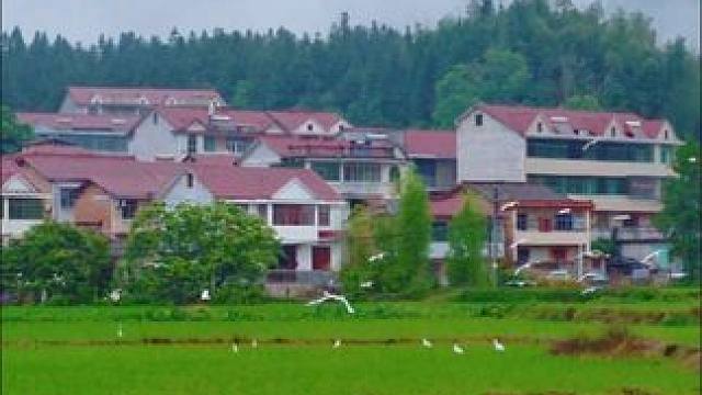 抚州资溪南源，这就是画里的乡村，烟雨云雾才有的江南之美。