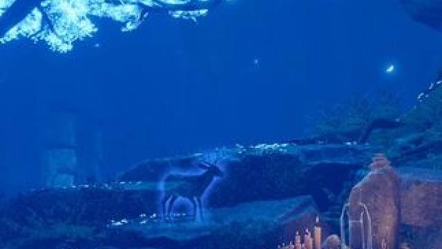 醉眼看人间，人人都温暖，醒时看世态，事事都炎凉..#燕云十六声