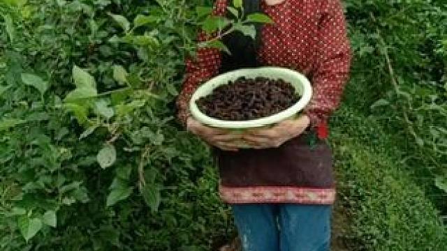 我发布了一个新视频，快来围观吧！