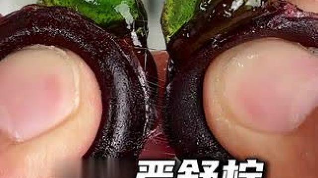 这黑薄荷糖绝了！劲爽爆凉，每嚼一下，都是清爽新体验！#薄荷糖 #软糖 #零食推荐