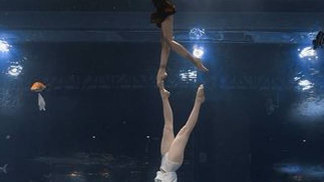 正佳水舞，天下一绝 #正佳极地海洋世界 #水下摄影henry #henry水下摄影 #青蛇 #白蛇