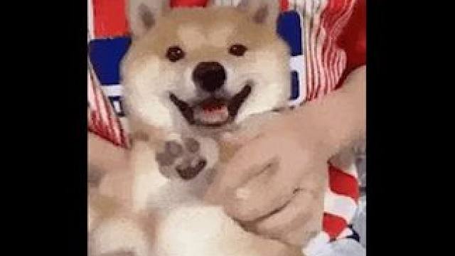 这波智能家电的反向输出，我是狠狠自豪了！#现在的智能生活已经NextLevel