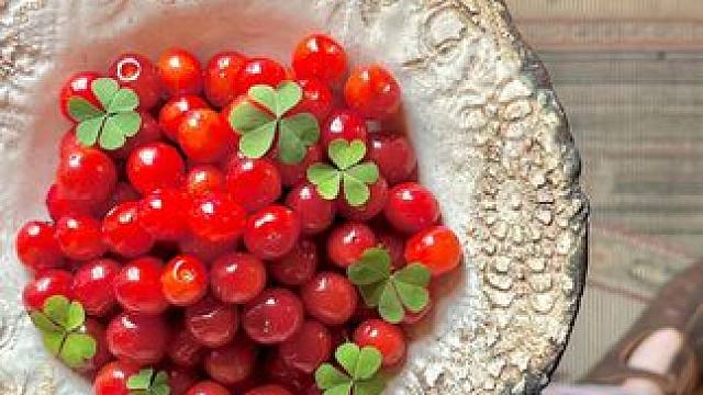 高腰显瘦时尚百搭 休闲直筒裤型显腿长显个高 半圈松紧腰不勒腰不卡腰 简约又大方怎么搭配都好看 价格便