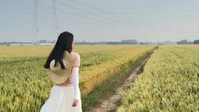 谁走漏了风声
三婶子家的小胖找我地头“燎麦”吃 ，还好爸妈没在家#回村的生活 #农忙时节 #金色麦田