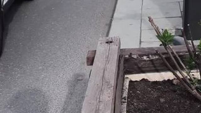 后面的才是25款#宝马s1000rr