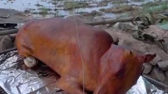 东南亚特色美食炭烤全牛宴 #户外烹饪 #越南美食 #老挝美食 #异国美食 #吃饭了朋友们