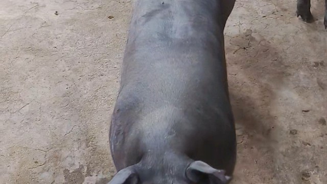 我发布了一个新视频，快来围观吧！