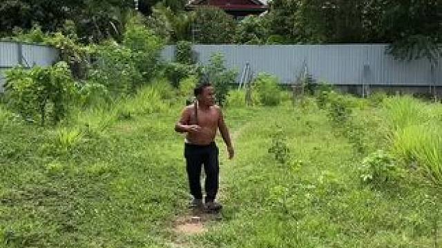 东南亚矮子 #越南美食