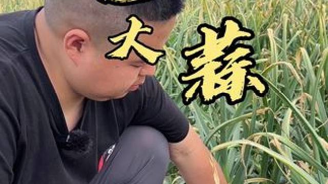 哥姐弟妹们给个机会让我推荐一下我的家乡特产！ #美食分享