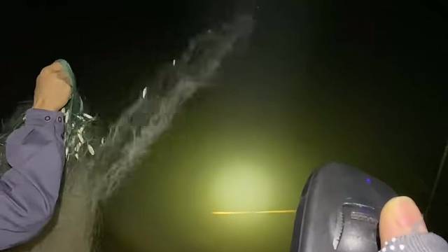 #户外捕鱼 #河边随拍 #捕捞现场  #丝网捕鱼