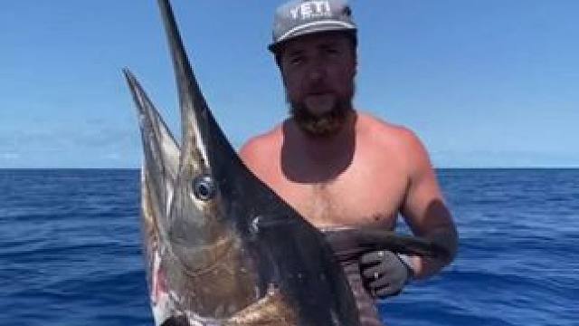 潜水捕鱼 #国外视频分享 #好大一条鱼 #海洋生物