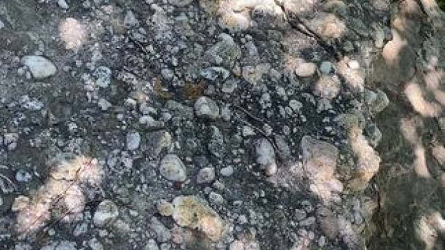 #欣赏美景 #大自然的馈 #翻山越岭值得了