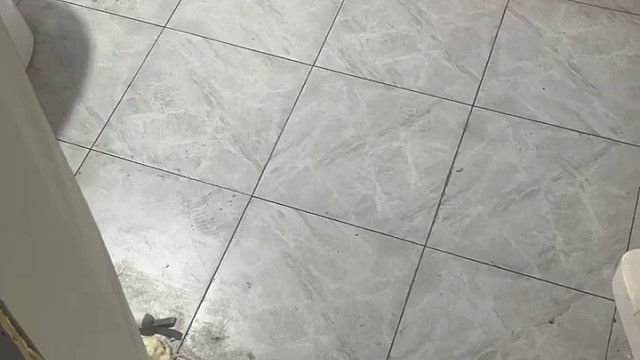 一会讨封了  问你像不像厕所仙人