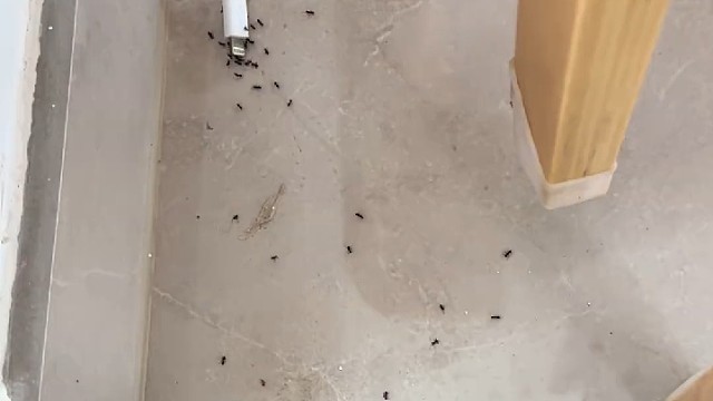 一个个不找吃的 来这儿玩电？