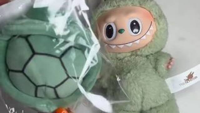 这个龟壳好适合哈哈哈~ #拉布布 #玩个很新的东西