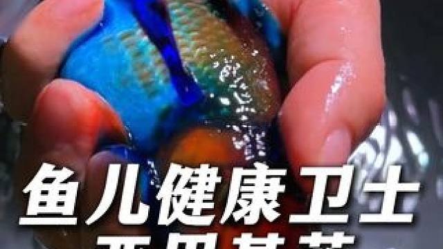 信我一回！这个亚甲基兰用一次让鱼缸少换3次水，便宜又实用！ #亚甲基蓝 #养鱼人 #水族用品 #鱼缸