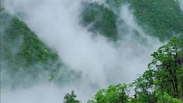 #大雾弥漫人间仙境 #悬崖峭壁上的风景 #云海仙境