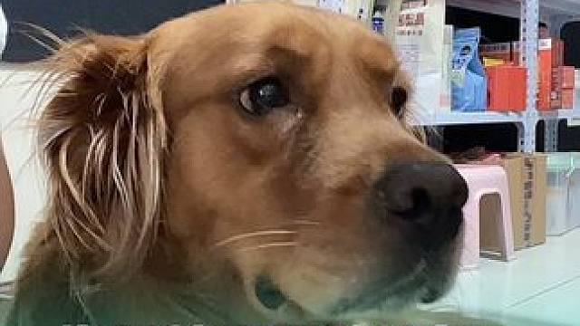 训练篇-为什么体重变化很多，身材外表上却看着没有太大变化？ 力克女孩们，下次想听我讲什么评论区抠出来